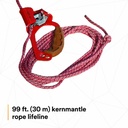 3M™ DBI-SALA® Rollgliss™ R250 Pole Rescue Kit 8900294